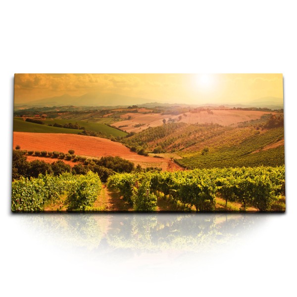 Paul Sinus Art Kunstdruck Bilder 120x60cm Weinfelder Weinreben Natur Landschaft Sonnenuntergang