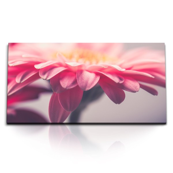 Paul Sinus Art Kunstdruck Bilder 120x60cm Gerbera Blume Blüte Rosa Kunstvoll Nahaufnahme