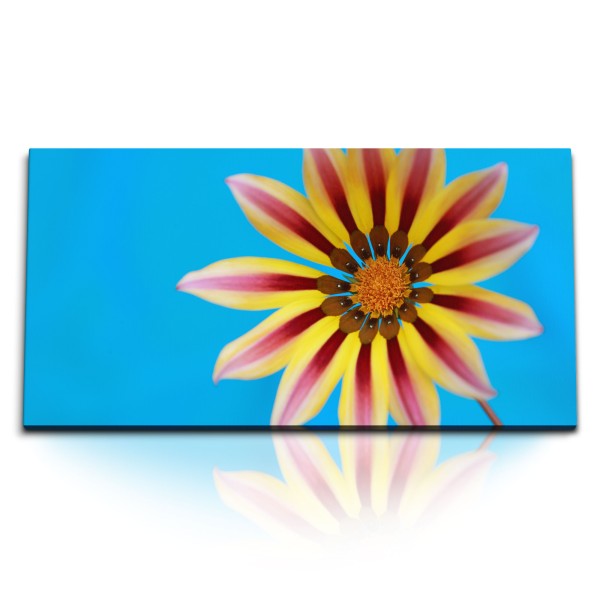 Paul Sinus Art Kunstdruck Bilder 120x60cm Blauer Himmel Exotische Blume Blüte Sommer