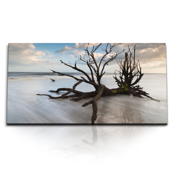 Paul Sinus Art Kunstdruck Bilder 120x60cm Treibholz am Strand Meer Horizont Sandstrand