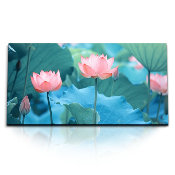 Paul Sinus Art Kunstdruck Bilder 120x60cm Lotus Blumen rosa Blüten Wasserblume Asien Natur