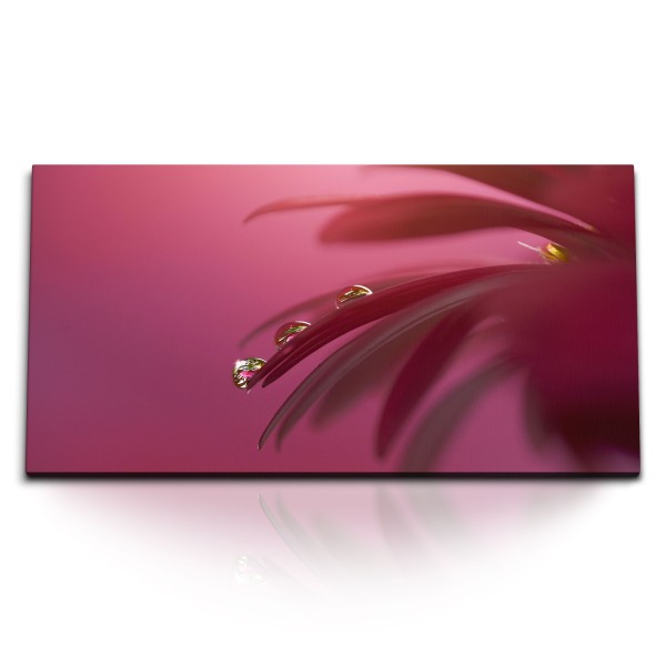 Paul Sinus Art Kunstdruck Bilder 120x60cm Rosa Blume Blüte Makrofotografie Wassertropfen Kunstvoll