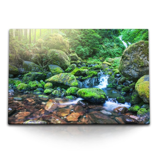 Paul Sinus Art 120x80cm Wandbild auf Leinwand Bach Moos Dschungel Natur Grün Tropisch