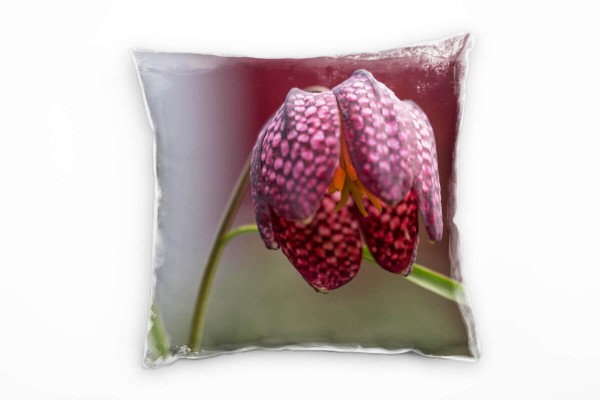 Paul Sinus Art Blumen, Schachblume, grün, rot, rosa Deko Kissen 40x40cm für Couch Sofa Lounge Zierkissen