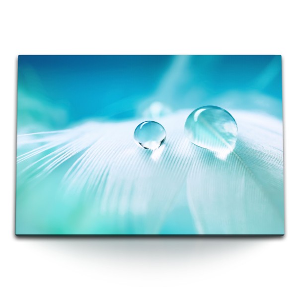 Paul Sinus Art 120x80cm Wandbild auf Leinwand Makrofotografie weiße Feder Wassertropfen Hellblau Blau