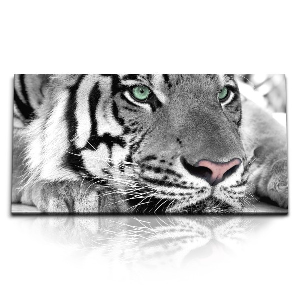 Paul Sinus Art Kunstdruck Bilder 120x60cm Tierfotografie Tiger Schwarz Weiß Raubkatze