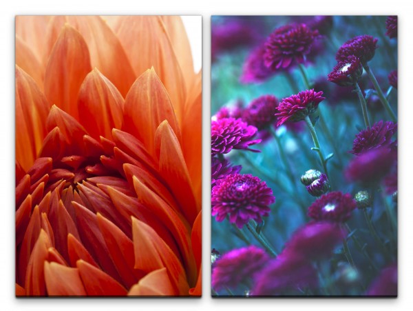 Paul Sinus Art 2 Bilder je 60x90cm Dahlie Zinnien Blumen Sommer Rot Natur Dekorativ