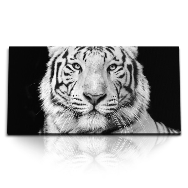 Paul Sinus Art Kunstdruck Bilder 120x60cm Weißer Tiger Porträt Schwarz Weiß Tierfotografie