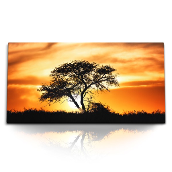 Paul Sinus Art Kunstdruck Bilder 120x60cm Abendrot Abenddämmerung Natur Baum Afrika roter Himmel