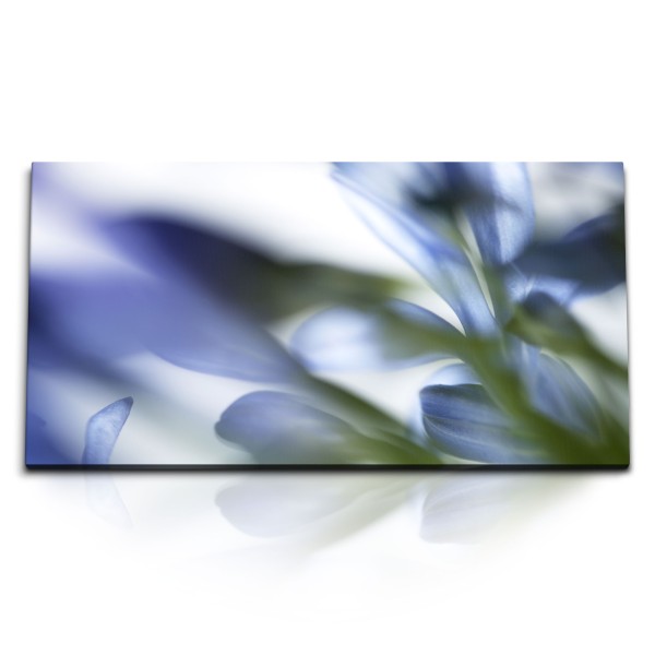 Paul Sinus Art Kunstdruck Bilder 120x60cm Blumen Blüten Blau Hellblau Nahaufnahme