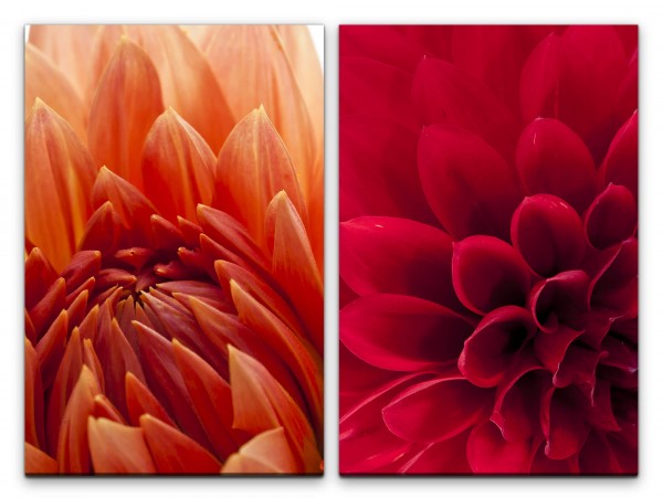 Paul Sinus Art 2 Bilder je 60x90cm Dahlie Blumen Sommerlich Beruhigend Harmonisch Romantisch Makrofotografie