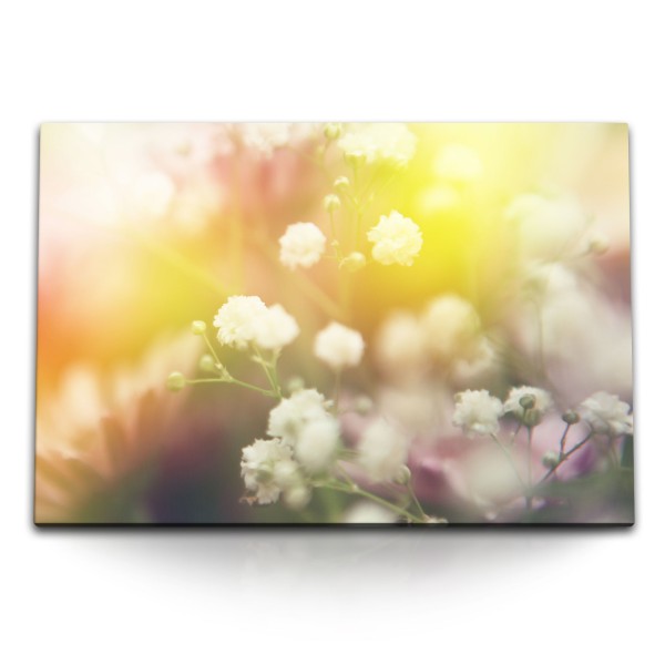 Paul Sinus Art 120x80cm Wandbild auf Leinwand Weiße Blumen Natur Sommer Kunstvoll Sonnenstrahl