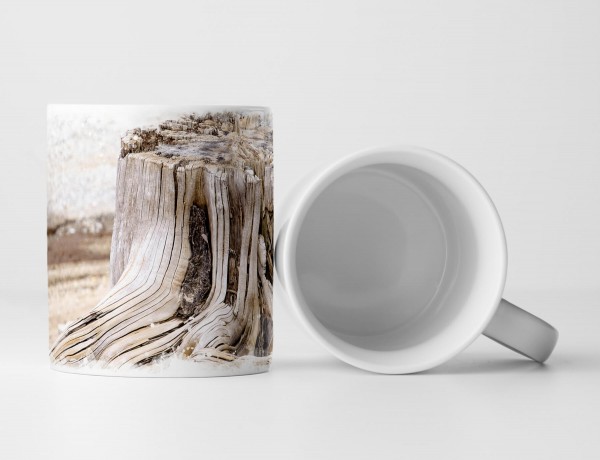 Paul Sinus Art Tasse Geschenk Baumstamm und Wurzeln – Fotografie eines toten Baumes