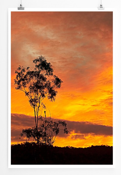 Paul Sinus Art 90x60cm Poster Feuriger Sonnenaufgang mit Baum Australien