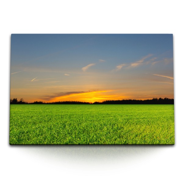 Paul Sinus Art 120x80cm Wandbild auf Leinwand Grünes Feld Horizont Sonnenuntergang Abendrot