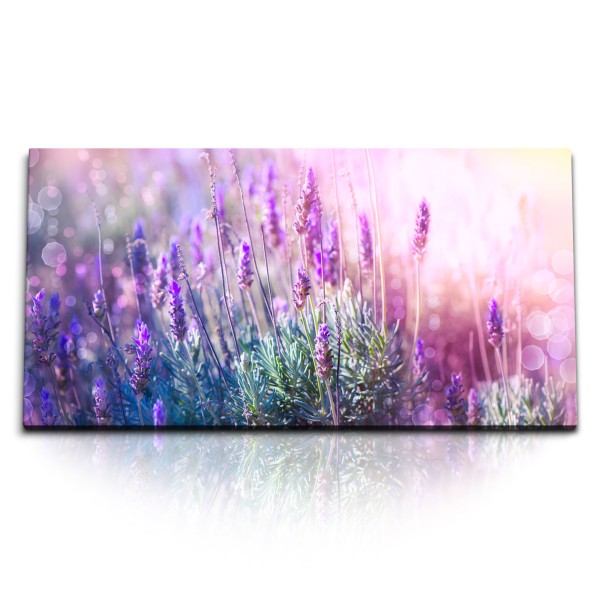 Paul Sinus Art Kunstdruck Bilder 120x60cm Lavendel Blumen Natur Sonnenschein Sommer