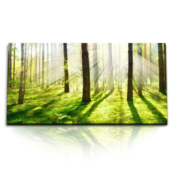 Paul Sinus Art Kunstdruck Bilder 120x60cm Wald Bäume Natur Grün Sonnenschein strahlen