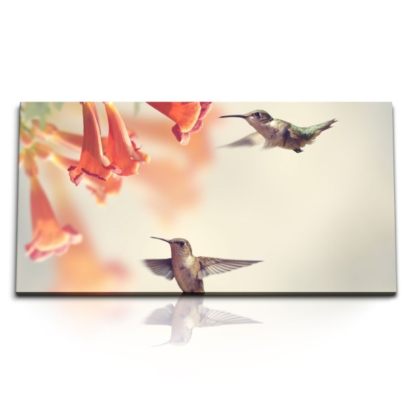 Paul Sinus Art Kunstdruck Bilder 120x60cm Kolibris kleine Vögel exotische Blumen Tierfotografie