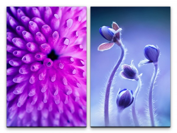 Paul Sinus Art 2 Bilder je 60x90cm Koralle Blumen Blau Violett Unterwasser Fotokunst Harmonisch