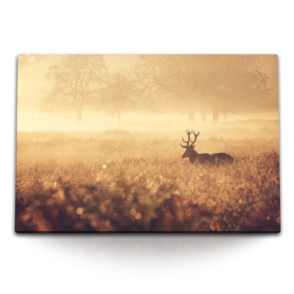 Paul Sinus Art 120x80cm Wandbild auf Leinwand Hirsch Hirschgeweih Natur Morgentau Wald Tierfotografie