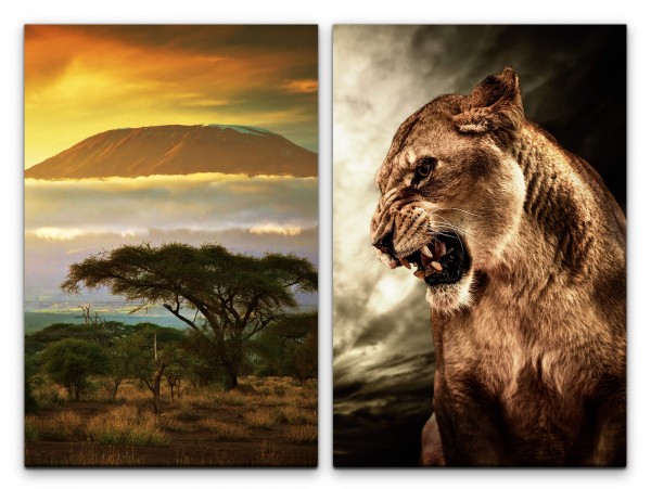 Paul Sinus Art 2 Bilder je 60x90cm Afrika brüllender Löwe Fangzähne Wild Raubkatze Berge