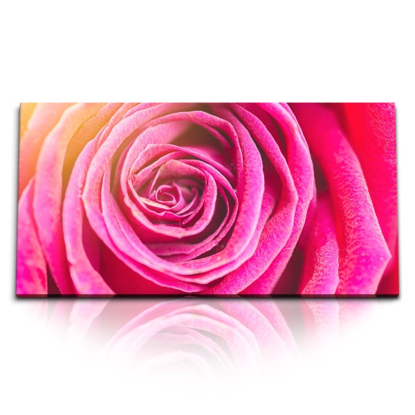 Paul Sinus Art Kunstdruck Bilder 120x60cm Rose Rosenblüte Blume Rot Nahaufnahme Kunstvoll