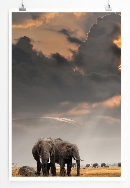 Paul Sinus Art 60x90cm Tierfotografie Poster Elefantengruppe unter grauem Himmel