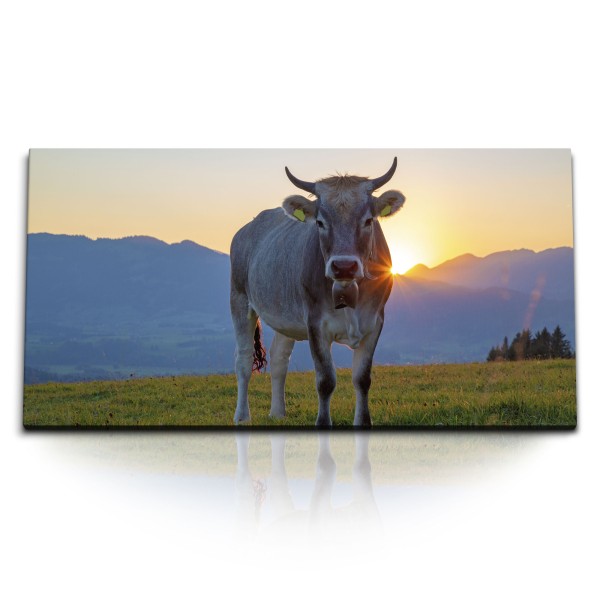 Paul Sinus Art Kunstdruck Bilder 120x60cm Kuh Rind Alpen Sonnenuntergang Weide Berge