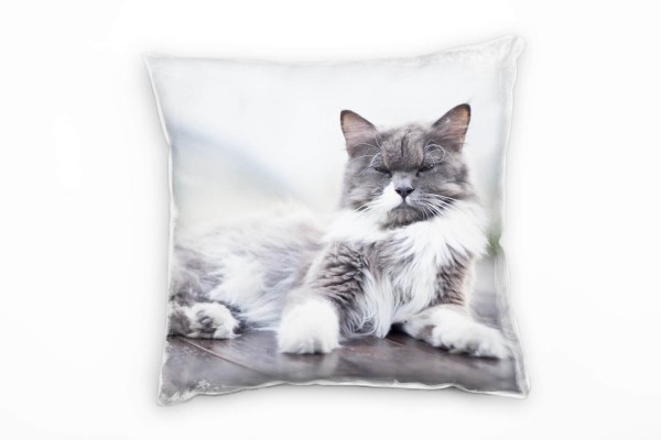 Paul Sinus Art Tiere, liegende Katze, grau, weiß, braun Deko Kissen 40x40cm für Couch Sofa Lounge Zierkissen