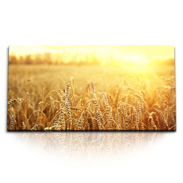 Paul Sinus Art Kunstdruck Bilder 120x60cm Weizen Weizenfeld Sonnenschein Natur Landschaft