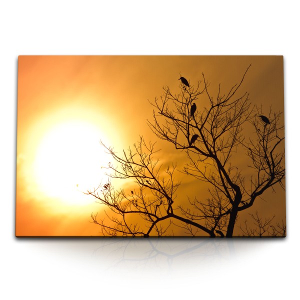 Paul Sinus Art 120x80cm Wandbild auf Leinwand Sonnenuntergang Abendrot roter Himmel Baum Vögel