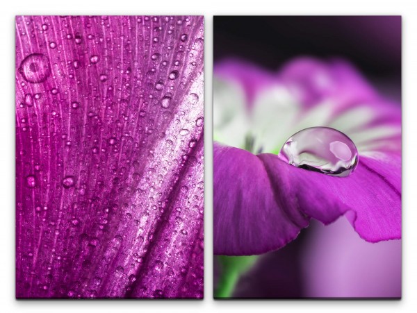 Paul Sinus Art 2 Bilder je 60x90cm Orchidee Wassertropfen Violett Blumen Beruhigend Stille Makrofotografie