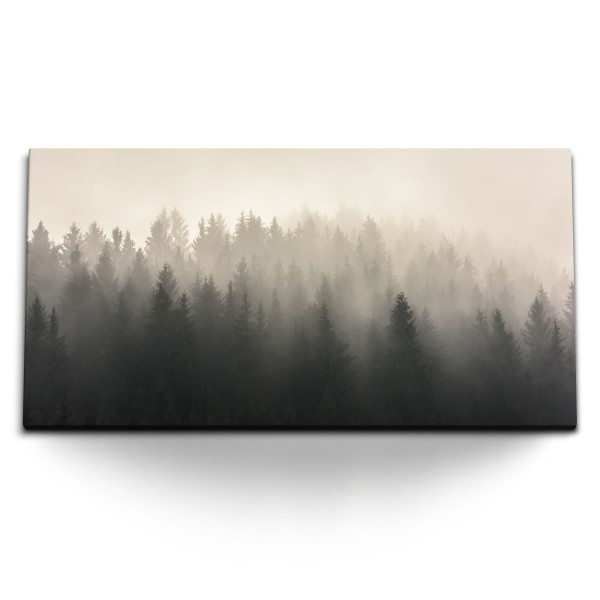 Kunstdruck Bilder 120x60cm Tannenwald Tannen Nebel Wald Natur Bäume