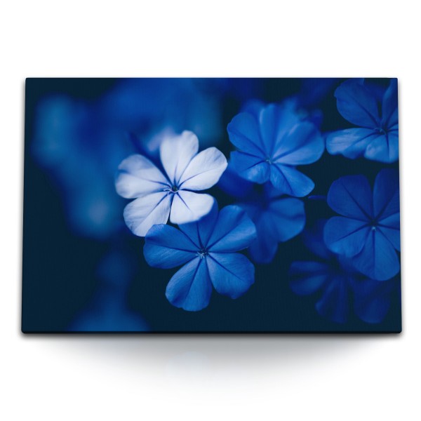 Paul Sinus Art 120x80cm Wandbild auf Leinwand Blaue Blumen Blüten Dunkelblau Dekorativ