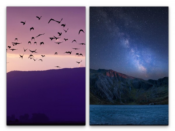 Paul Sinus Art 2 Bilder je 60x90cm Vogelschwarm fliegende Vögel Berge Horizont Sterne Astrofotografie Milchstraße