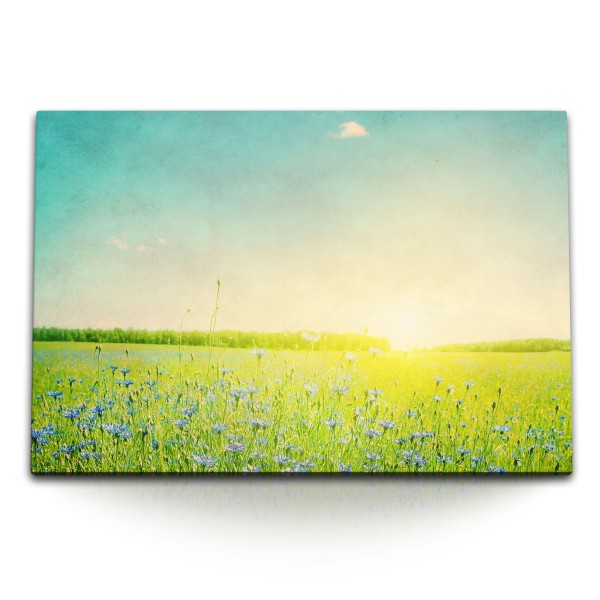 Paul Sinus Art 120x80cm Wandbild auf Leinwand Sommerwiese Sonnenschein Blumen Wildblumen