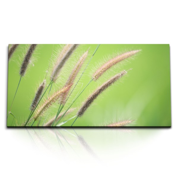 Paul Sinus Art Kunstdruck Bilder 120x60cm Halme Weizen Natur Grün Pflanzen Sommer