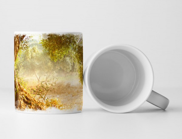 Paul Sinus Art Tasse Geschenk Naturfotografie – Alter großer Olivenbaum