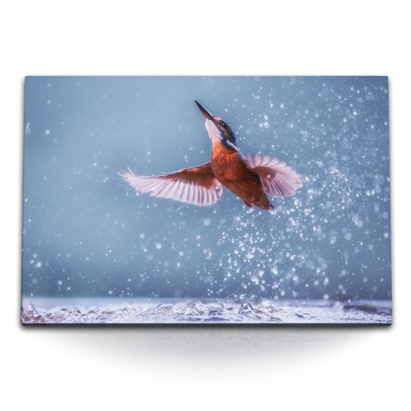 120x80cm Wandbild auf Leinwand Eisvogel Wasser kleiner Vogel Tierfotografie Kunstvoll