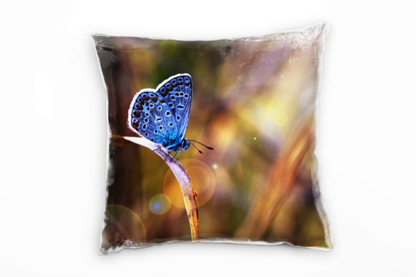 Paul Sinus Art Tiere, blau, braun, Schmetterling auf einem Grashalm Deko Kissen 40x40cm für Couch Sofa Lounge Zierk