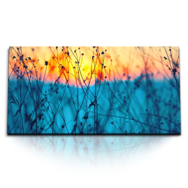 Paul Sinus Art Kunstdruck Bilder 120x60cm Sonnenuntergang Abendrot Natur Blau Gewächs