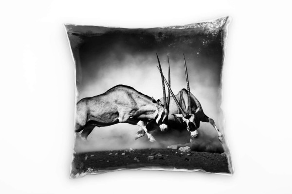 Paul Sinus Art Tiere, zwei kämpfende Spießböcke, grau Deko Kissen 40x40cm für Couch Sofa Lounge Zierkissen