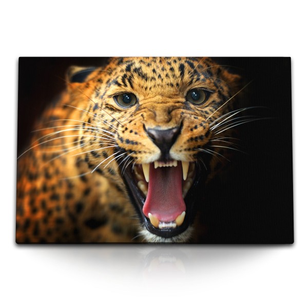 Paul Sinus Art 120x80cm Wandbild auf Leinwand Jaguar Raubkatze Tierfotografie Leopard Wild