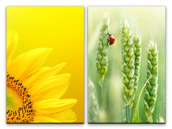 Paul Sinus Art 2 Bilder je 60x90cm Sonnenblume Gelb Marienkäfer Sommer Weizen Grün Sommer