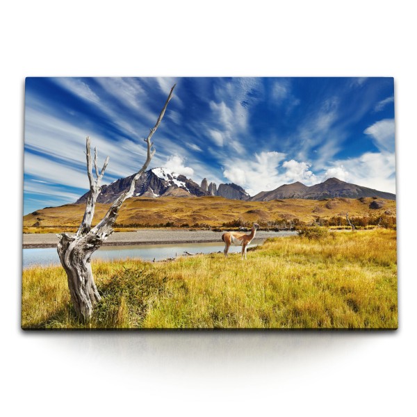 Paul Sinus Art 120x80cm Wandbild auf Leinwand Patagonia Chile Landschaft Lama Berge blauer Himmel