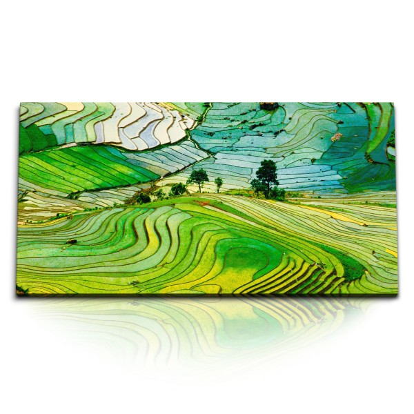 Paul Sinus Art Kunstdruck Bilder 120x60cm Reisfelder Vietnam Reisanbau Grün Natur Landschaft