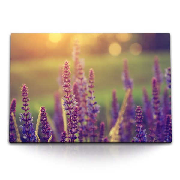 Paul Sinus Art 120x80cm Wandbild auf Leinwand Lavendel Sonnenuntergang Sommer Natur Blumen