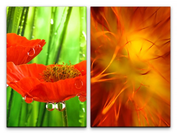 Paul Sinus Art 2 Bilder je 60x90cm Blumen Rot Grün Tropfen Nahaufnahme Orange Erfrischend