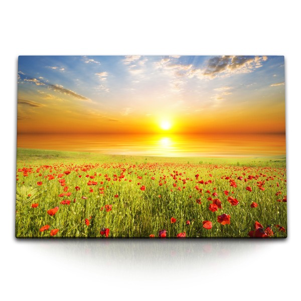 Paul Sinus Art 120x80cm Wandbild auf Leinwand Sonnenuntergang Abendrot Blumenfeld Meer Horizont