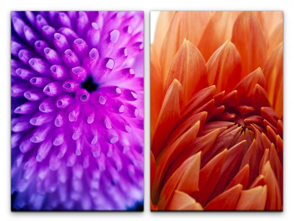 Paul Sinus Art 2 Bilder je 60x90cm Dahlie Blumen Blüten Sanft Zart Behutsam Makrofotografie